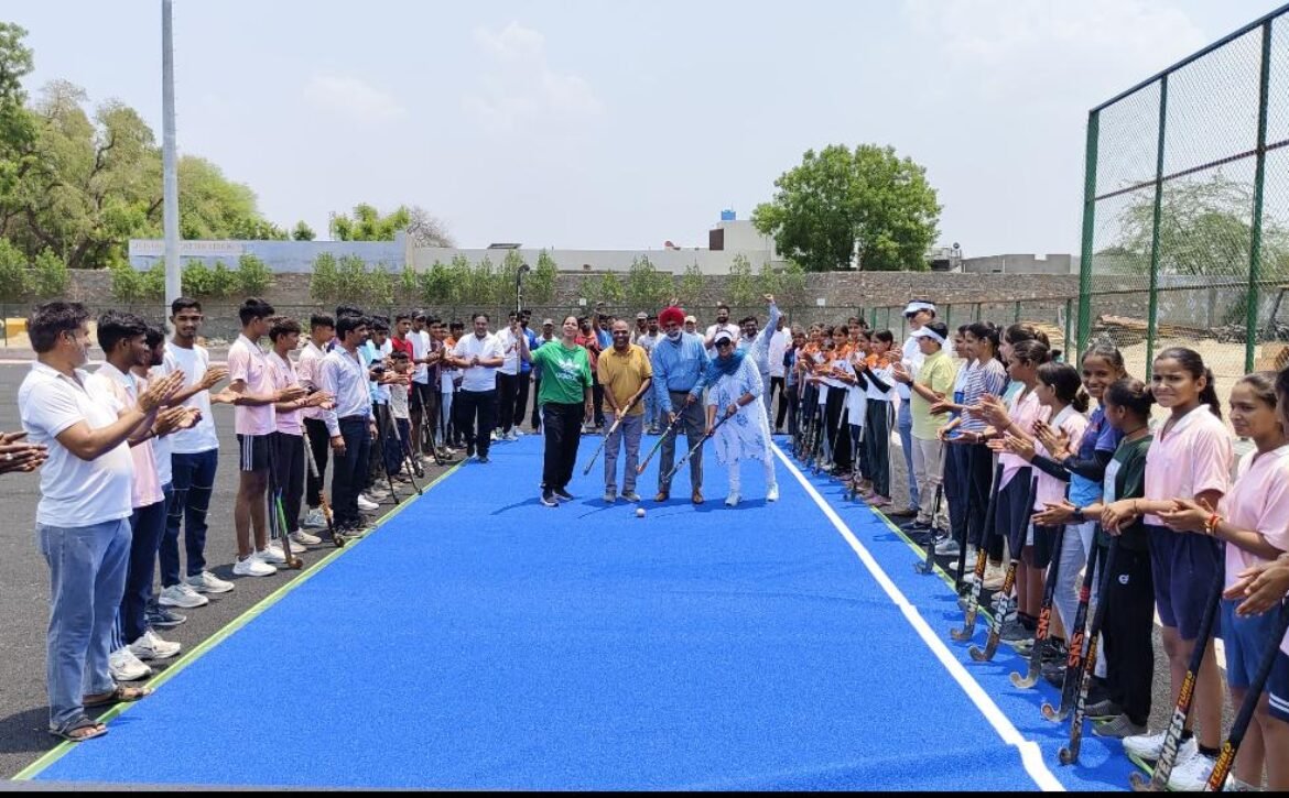 Hockey Turf (12)